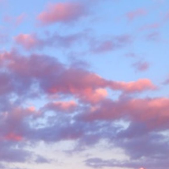 Meet your Posher, Brianne - Picture 1 of 1